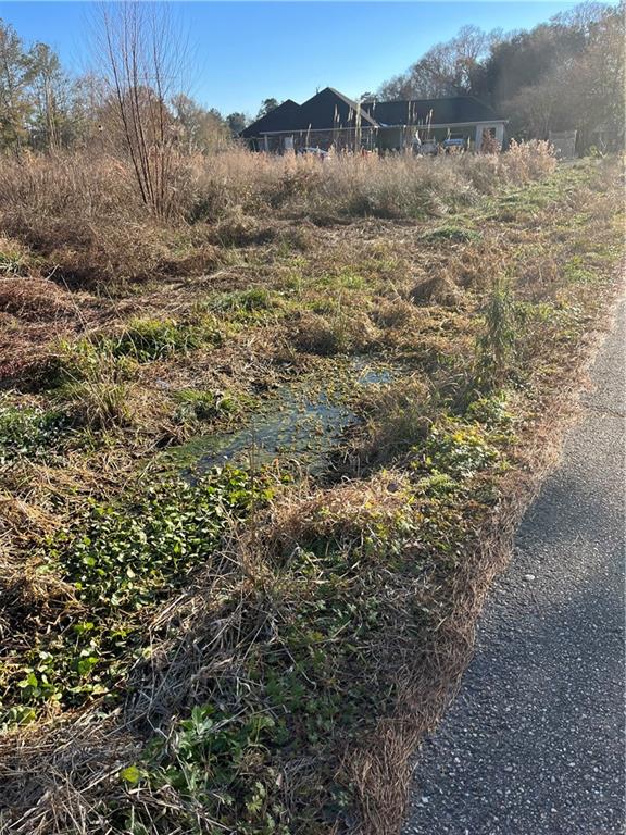 33870 Perkins Crossing Road Walker, LA 70785 - Photo 2 of 3