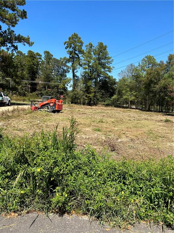 33870 Perkins Crossing Road Walker, LA 70785 - Photo 3 of 3