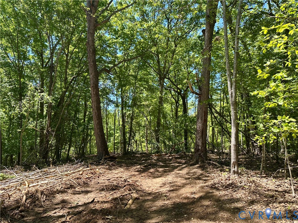 Lot 6 Buffalo Church Road Pamplin, VA 23958 - Photo 2 of 7