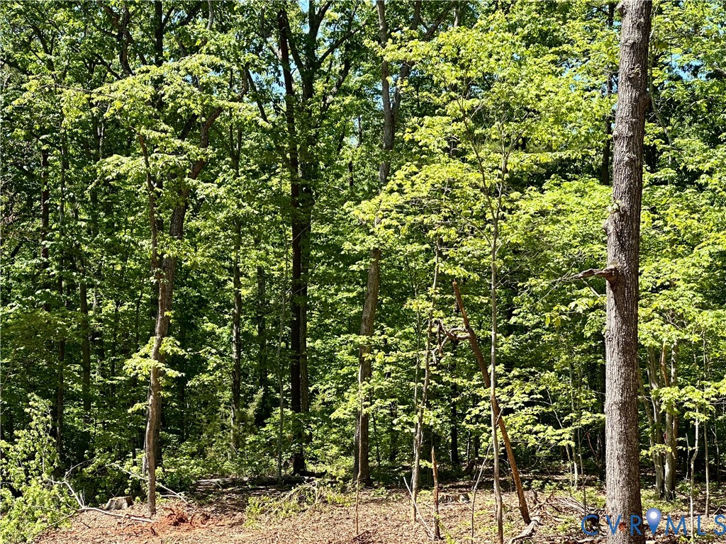 Lot 6 Buffalo Church Road Pamplin, VA 23958 - Photo 3 of 7 a view of a yard