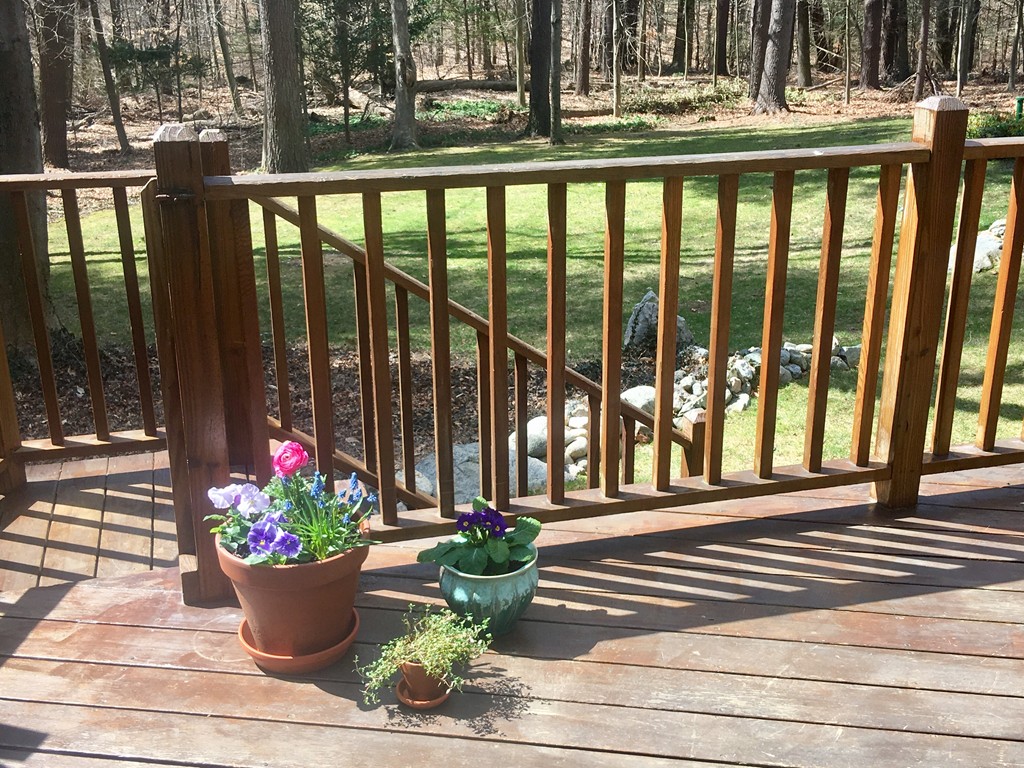 42 Pequot Road Wayland, MA 01778 - Photo 23 of 27 Gallery Image 23