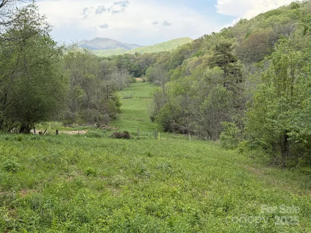 a view of a green field with lots of trees
