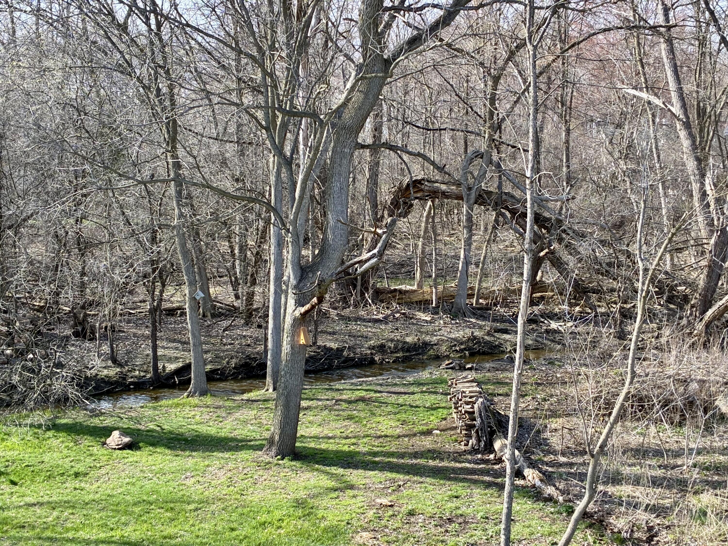 571 Sycamore Circle Saline, MI 48176 - Photo 33 of 34 IMG_0173