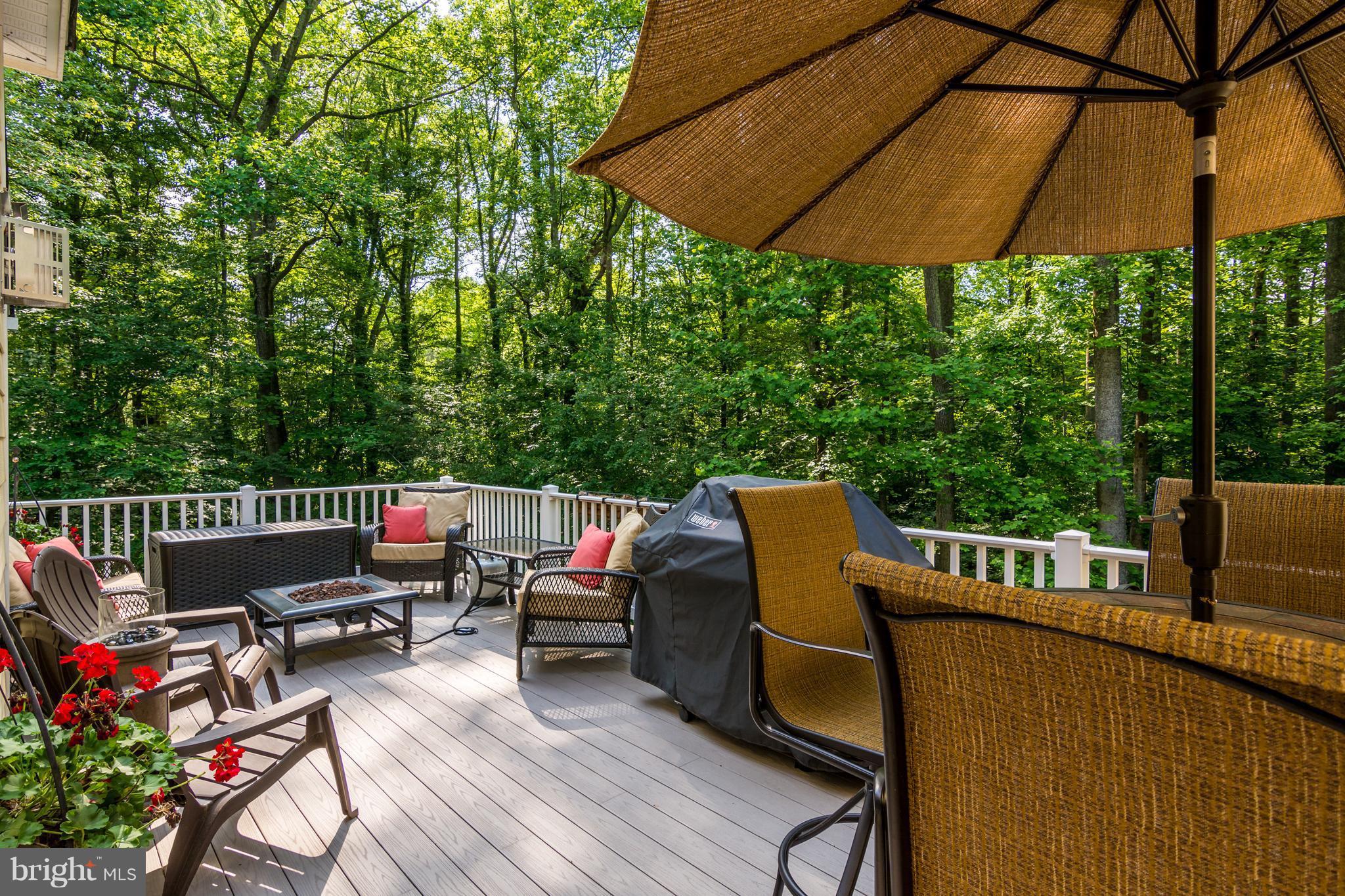 798 Governor Bridge Road Davidsonville, MD 21035 - Photo 28 of 30 View of wooded backyard from the deck
