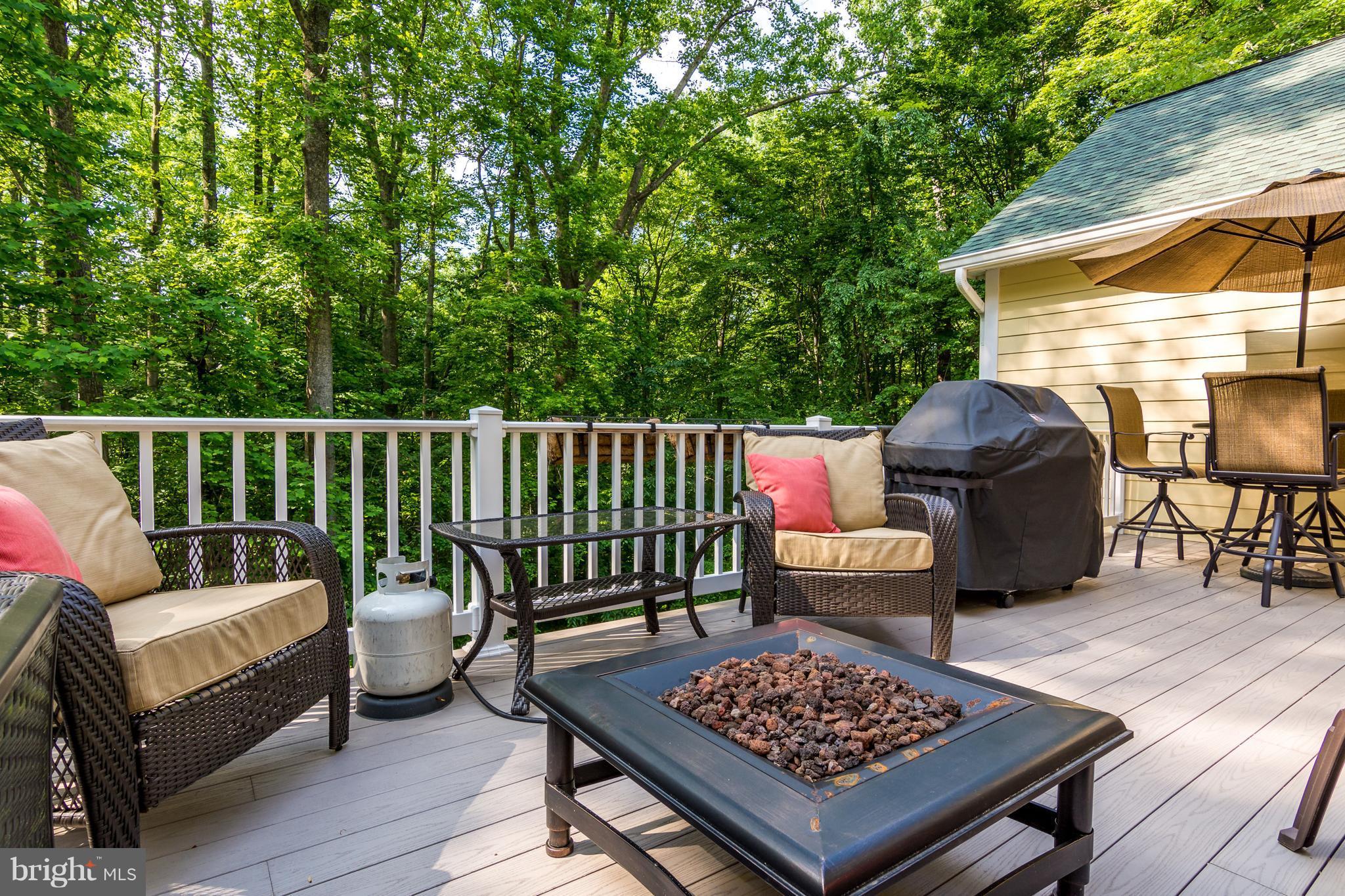 798 Governor Bridge Road Davidsonville, MD 21035 - Photo 29 of 30 Wooded rear view for lots of privacy