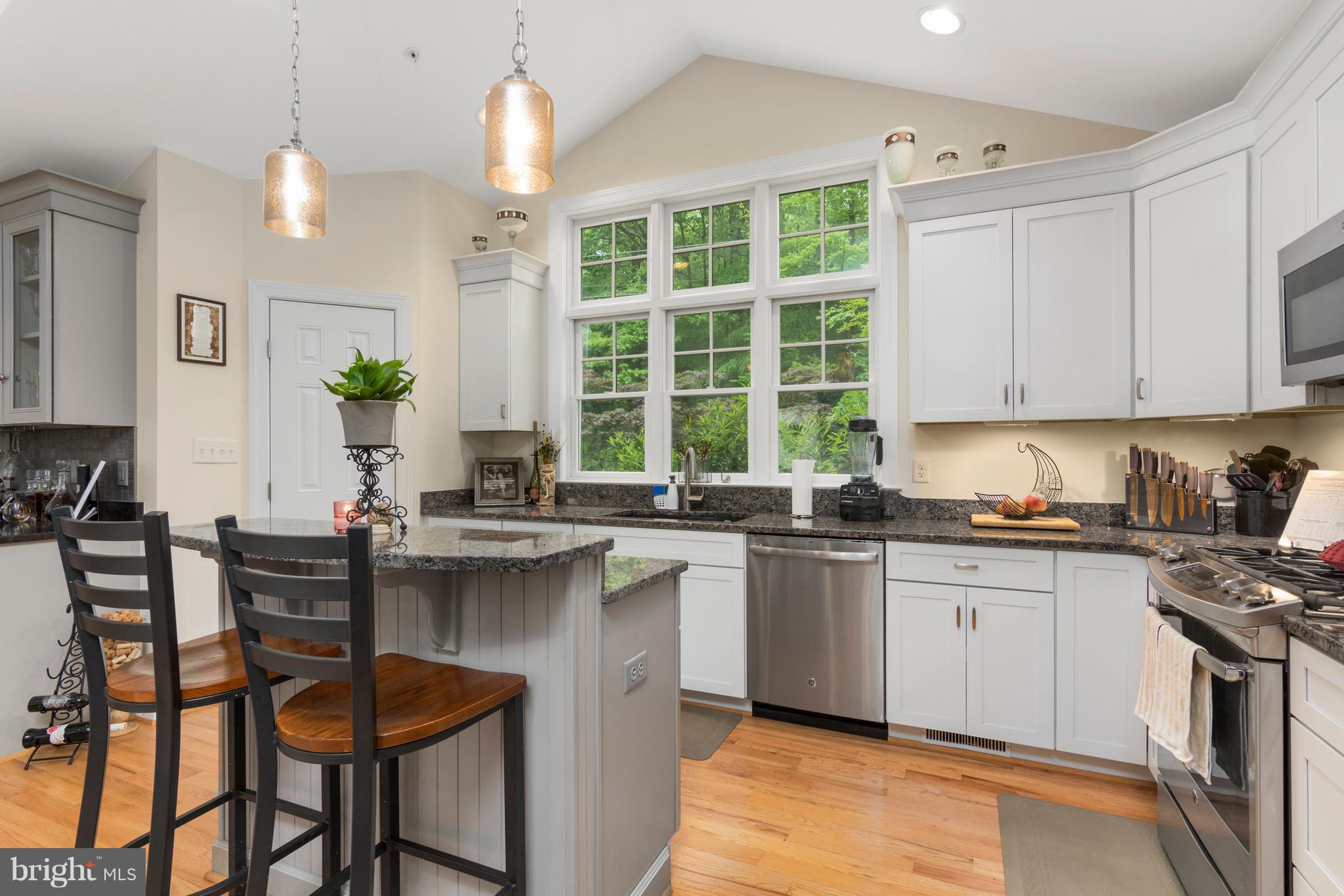 798 Governor Bridge Road Davidsonville, MD 21035 - Photo 10 of 30 Eat-in breakfast bar for socializing while cooking