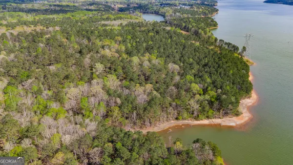 $7,900,000 | 0 Hunter Road, Locust Grove, GA 30248