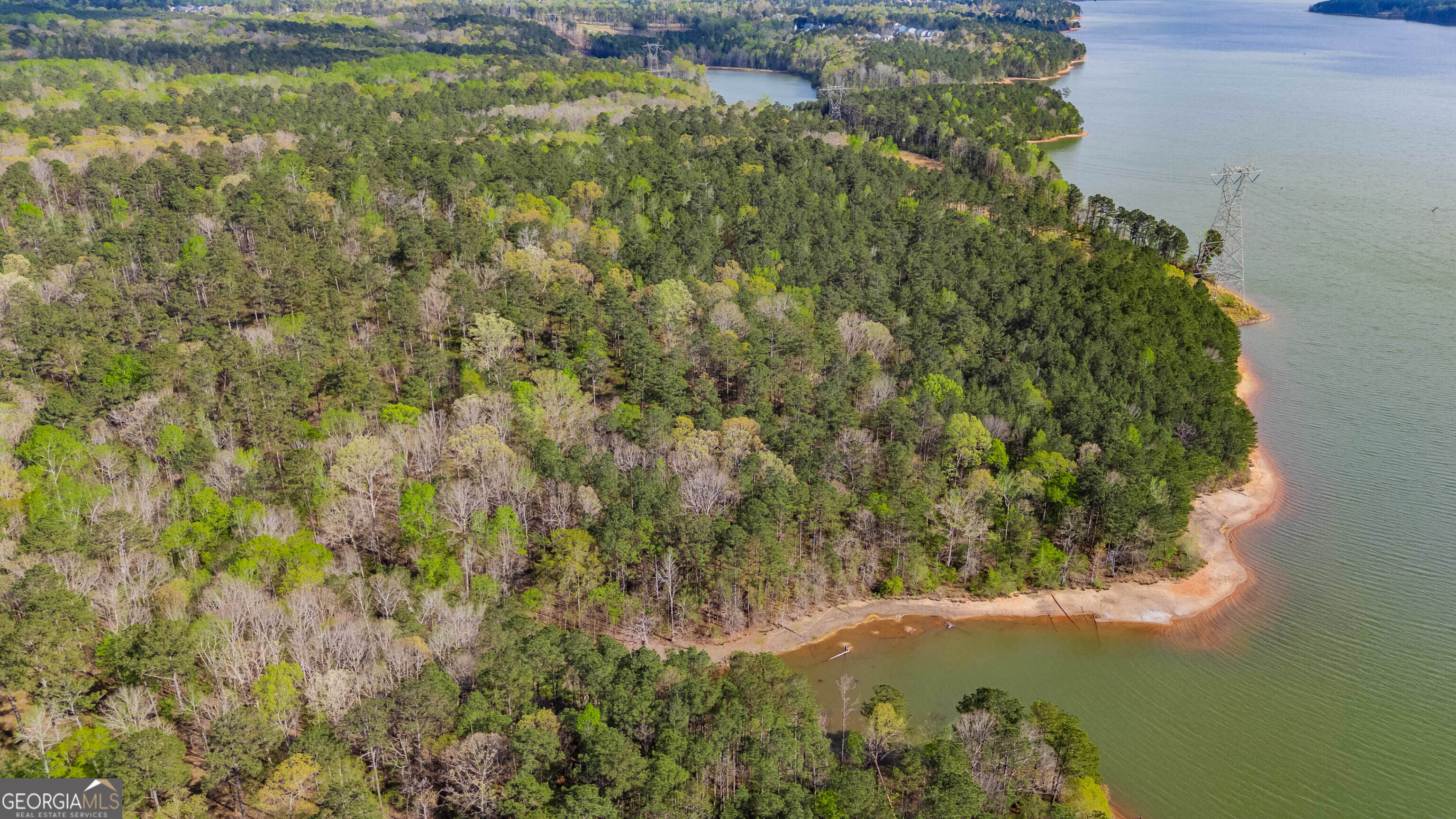 0 Hunter Road Locust Grove, GA 30248 - Photo 12 of 20