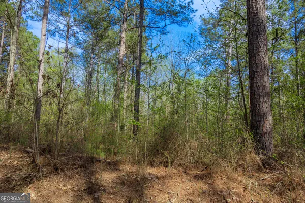 $7,900,000 | 0 Hunter Road, Locust Grove, GA 30248