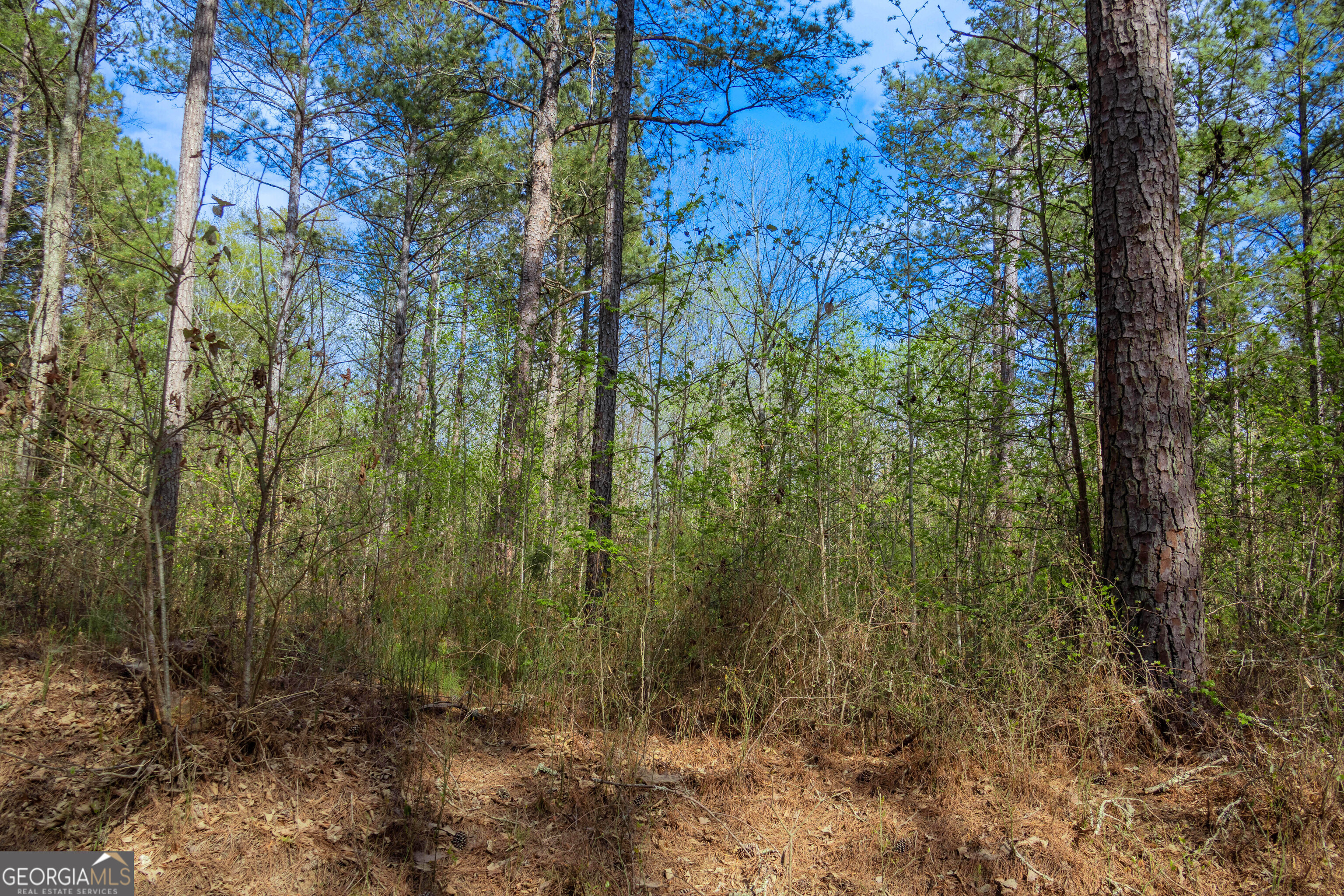 0 Hunter Road Locust Grove, GA 30248 - Photo 19 of 20