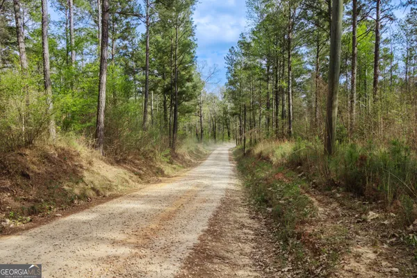 $7,900,000 | 0 Hunter Road, Locust Grove, GA 30248