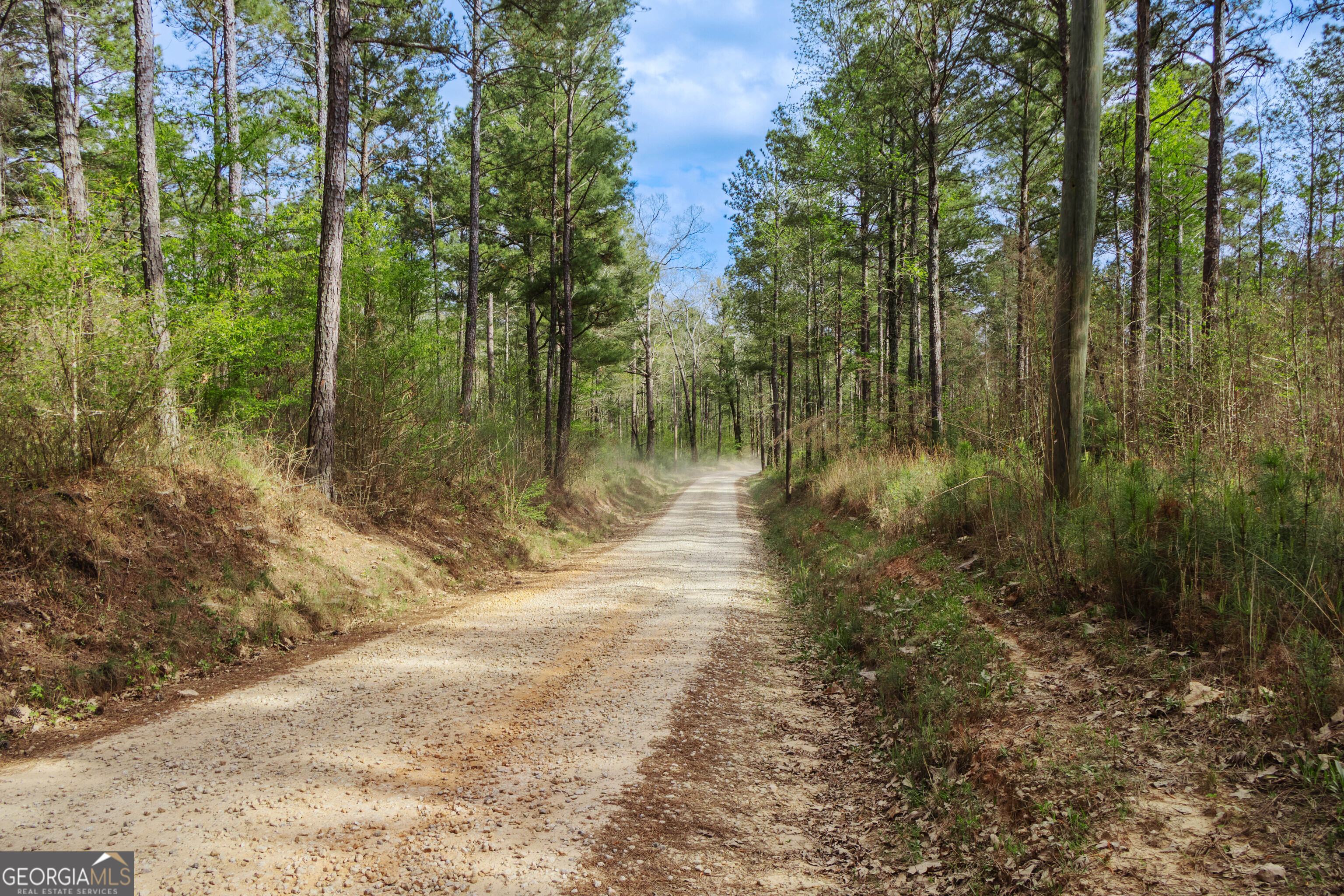 0 Hunter Road Locust Grove, GA 30248 - Photo 20 of 20
