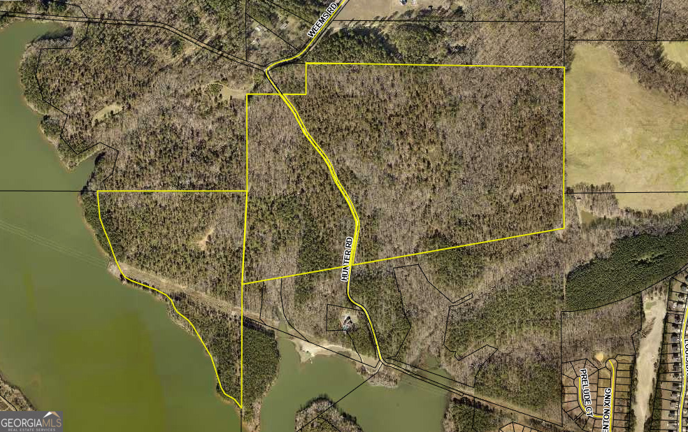 0 Hunter Road Locust Grove, GA 30248 - Photo 2 of 20