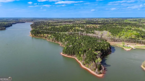$7,900,000 | 0 Hunter Road, Locust Grove, GA 30248