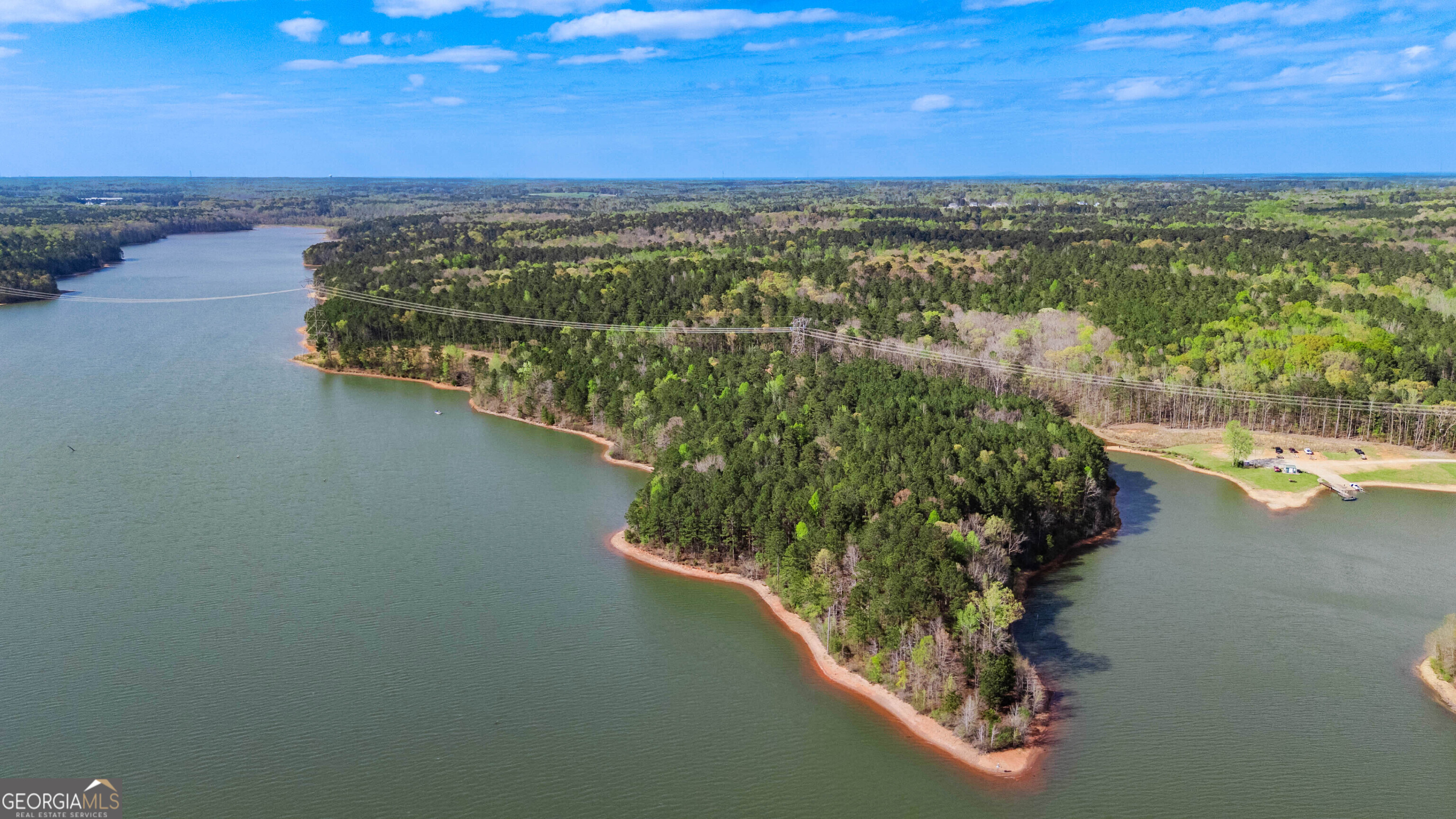 0 Hunter Road Locust Grove, GA 30248 - Photo 3 of 20