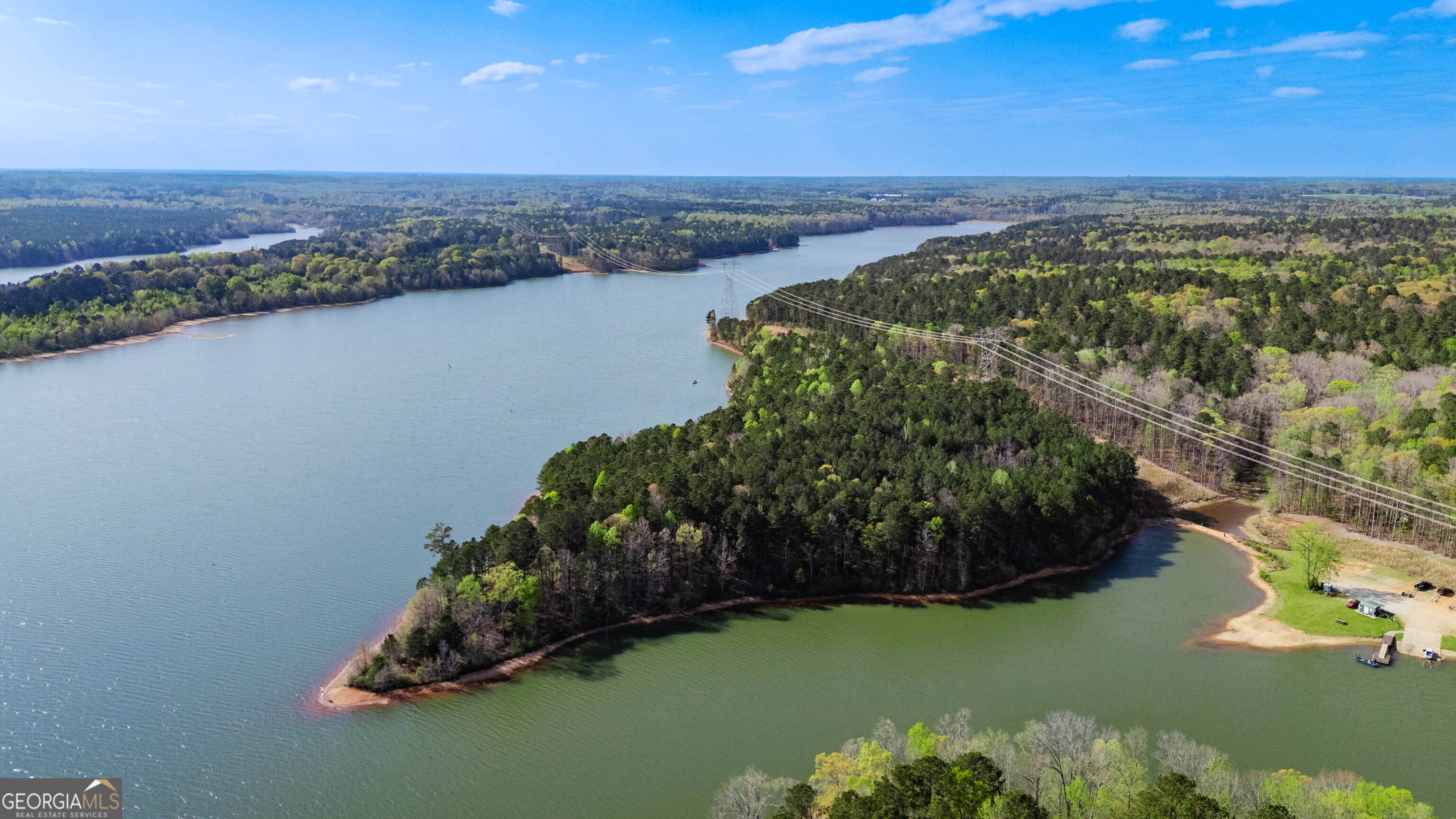 0 Hunter Road Locust Grove, GA 30248 - Photo 4 of 20