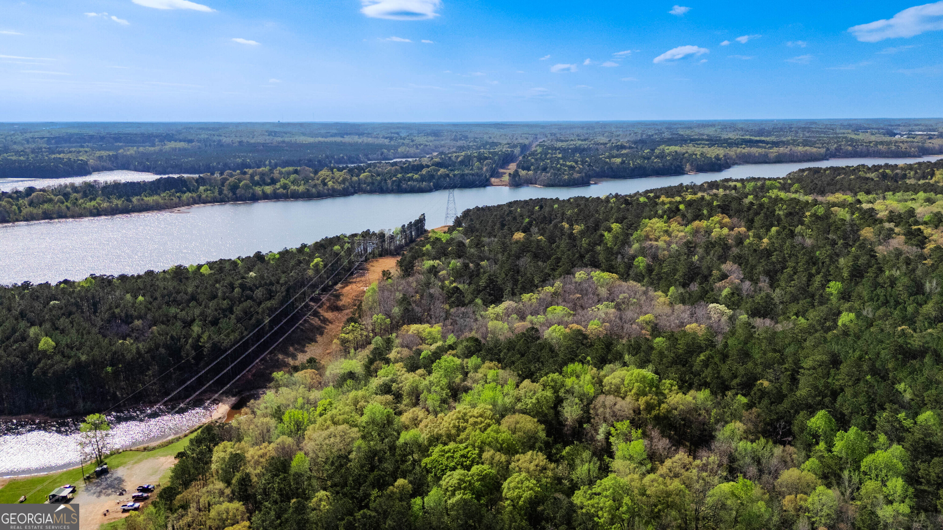 0 Hunter Road Locust Grove, GA 30248 - Photo 5 of 20