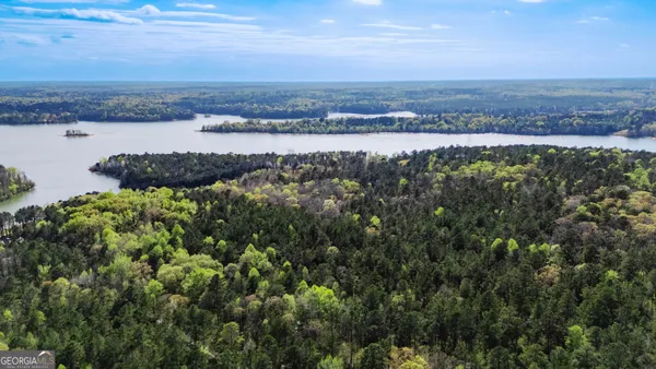 $7,900,000 | 0 Hunter Road, Locust Grove, GA 30248