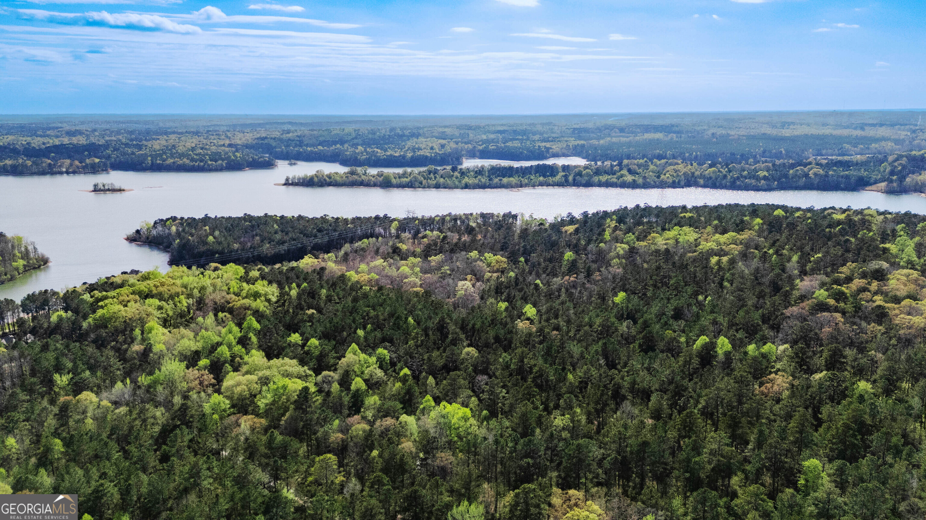 0 Hunter Road Locust Grove, GA 30248 - Photo 6 of 20