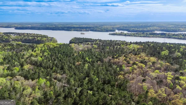 $7,900,000 | 0 Hunter Road, Locust Grove, GA 30248