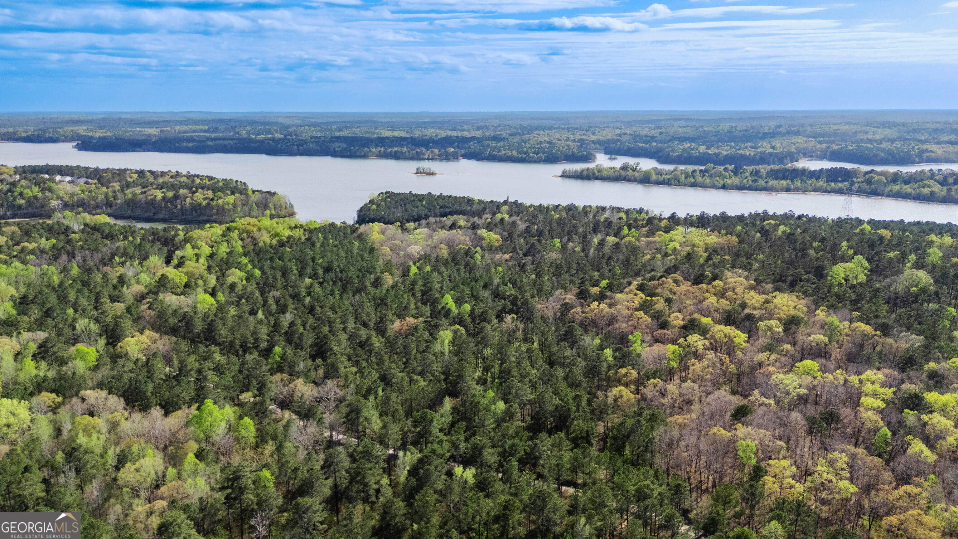 0 Hunter Road Locust Grove, GA 30248 - Photo 7 of 20