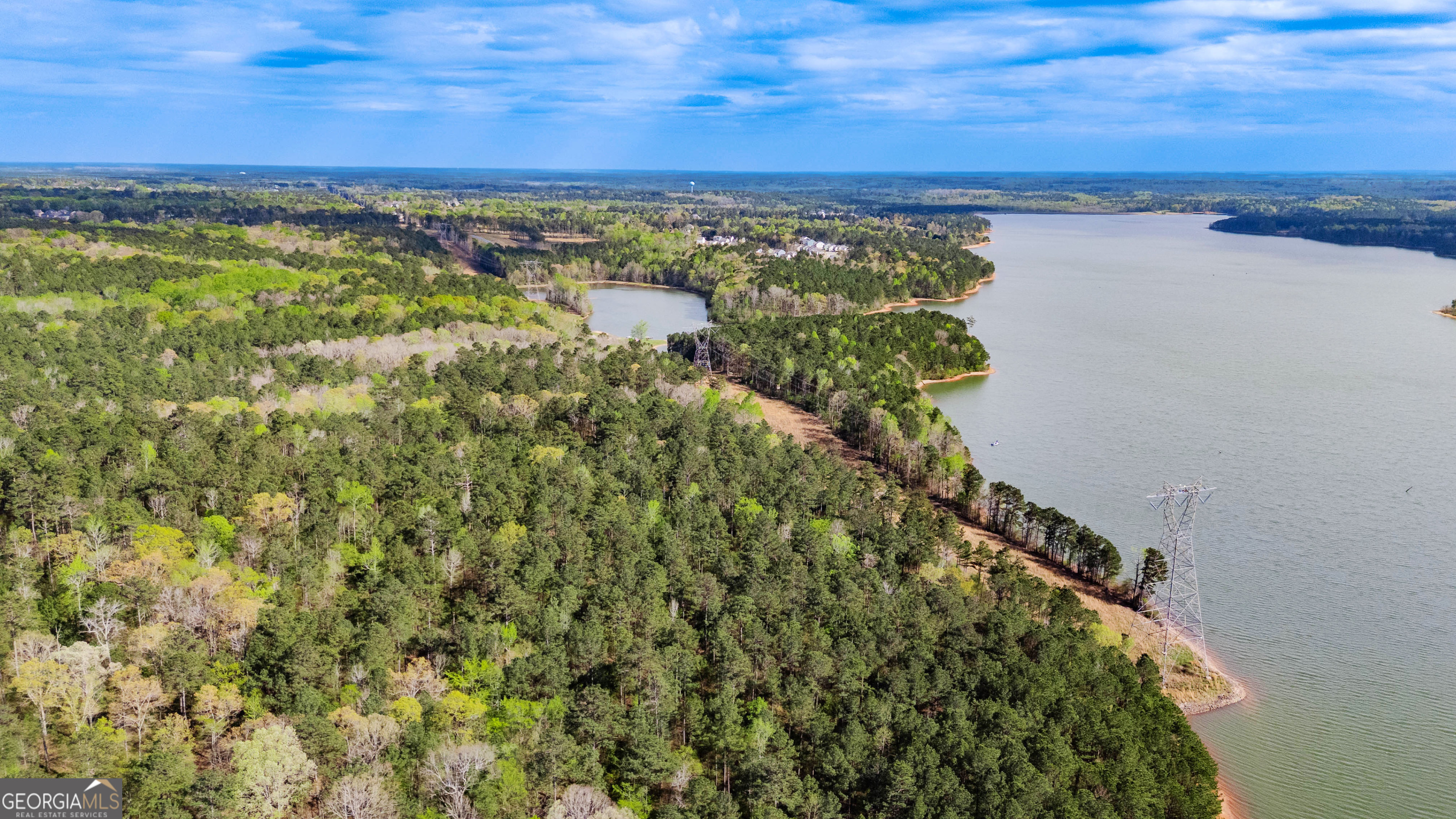 0 Hunter Road Locust Grove, GA 30248 - Photo 8 of 20