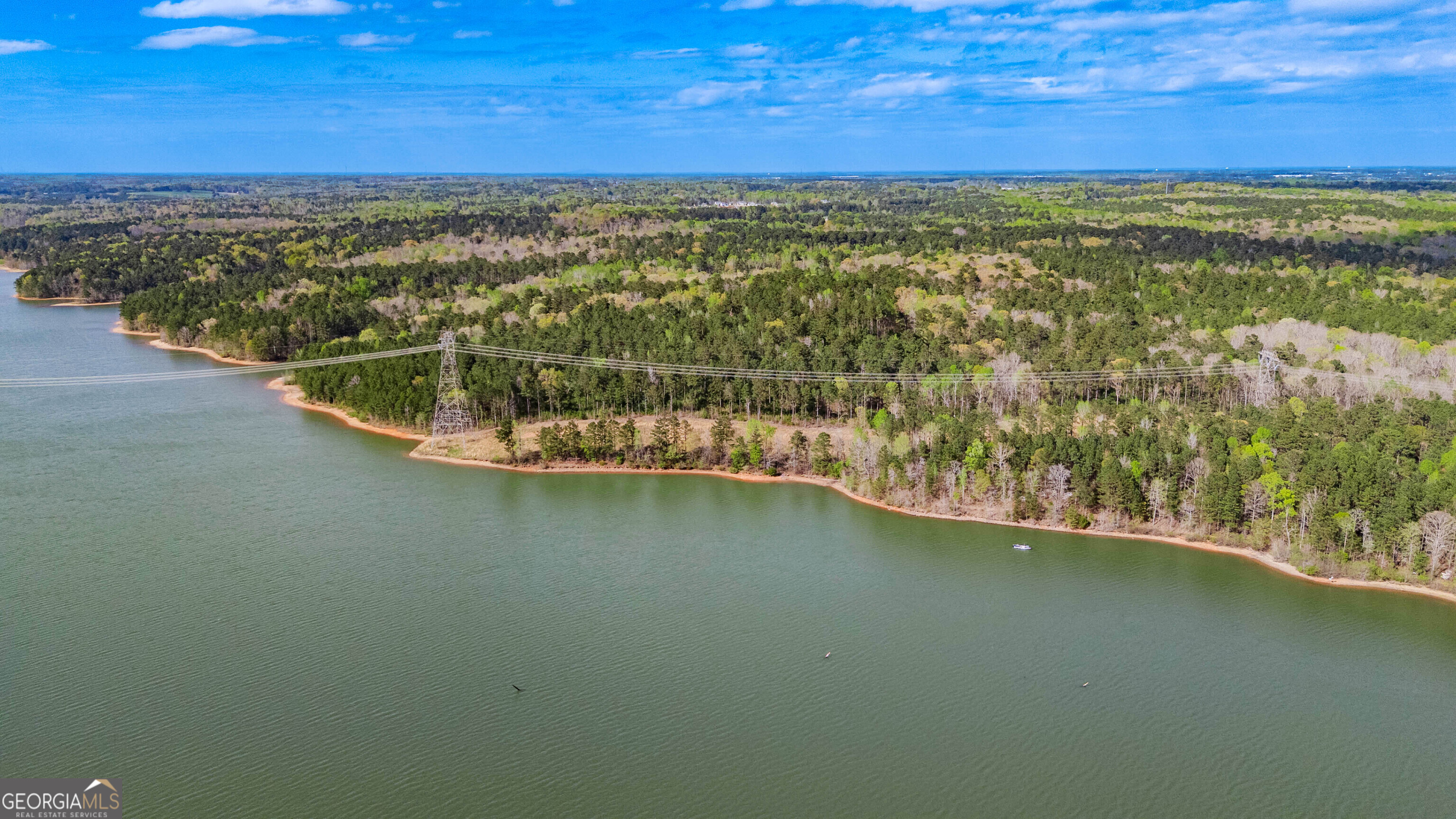 0 Hunter Road Locust Grove, GA 30248 - Photo 9 of 20