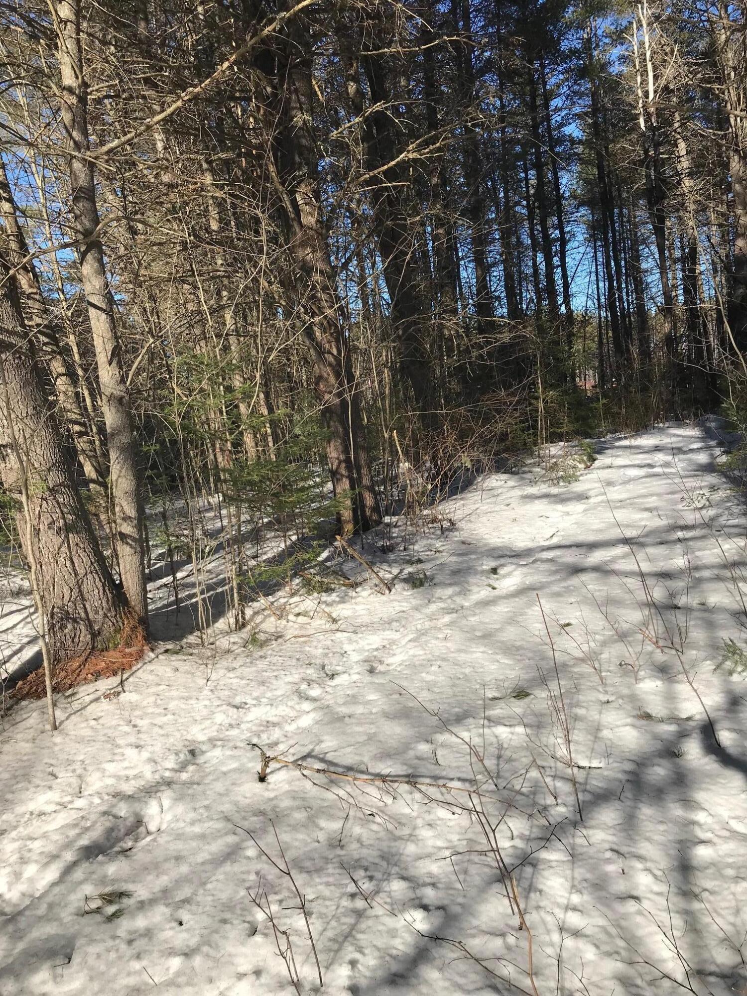 R7-21 River Road Madison, ME 04950 - Photo 3 of 13 Shannon Land Pic Entrance