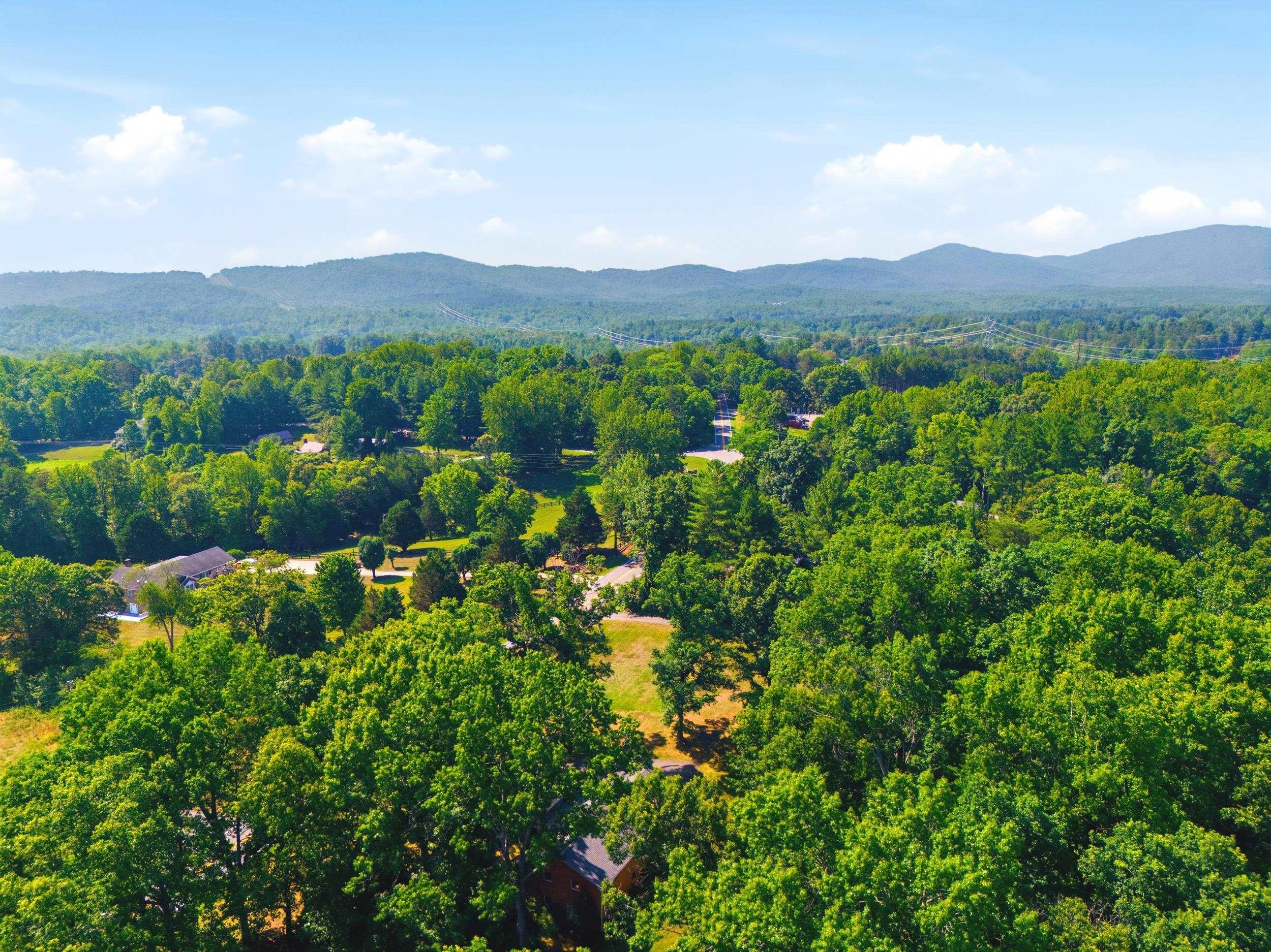 668 Miller School Road Charlottesville, VA 22903 - Photo 55 of 66