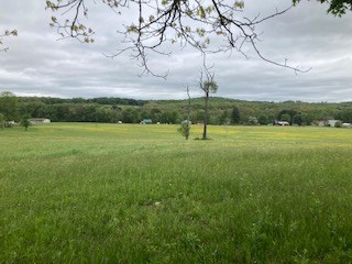 0 Warner Road Kennerdell, PA 16374 - Photo 8 of 13 a view of field with large trees
