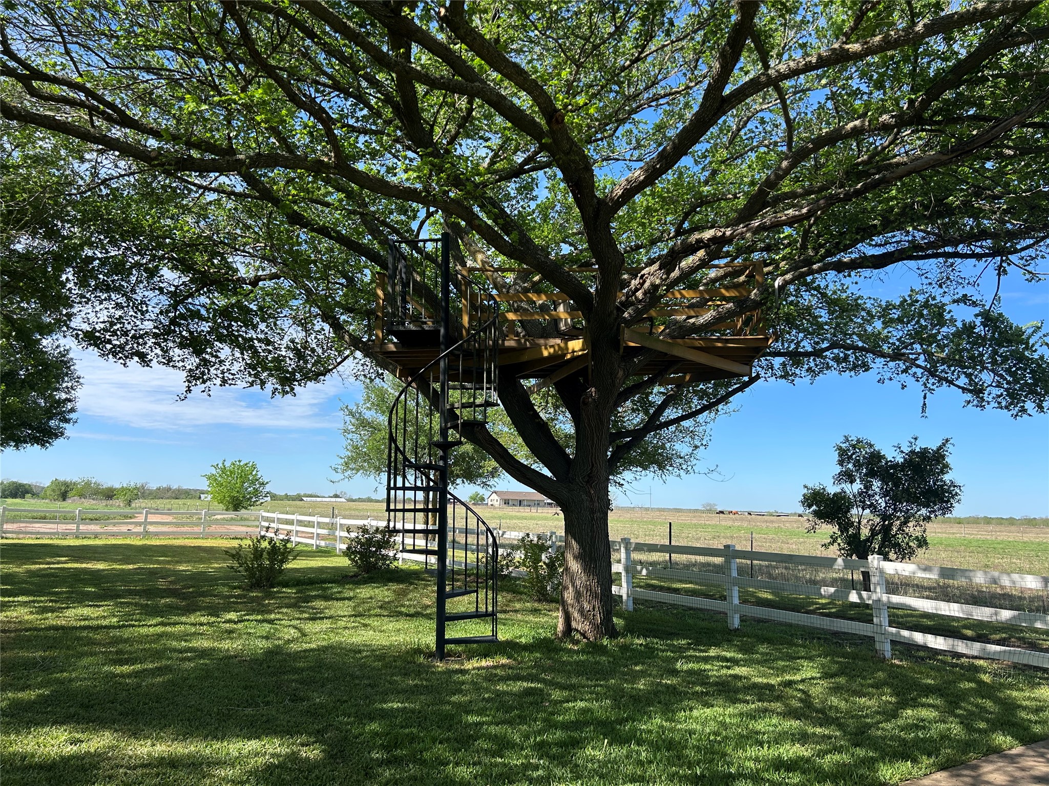 678 Ponderosa Road Bastrop, TX 78602 - Photo 36 of 40 Steel spiral stairs to large tree house