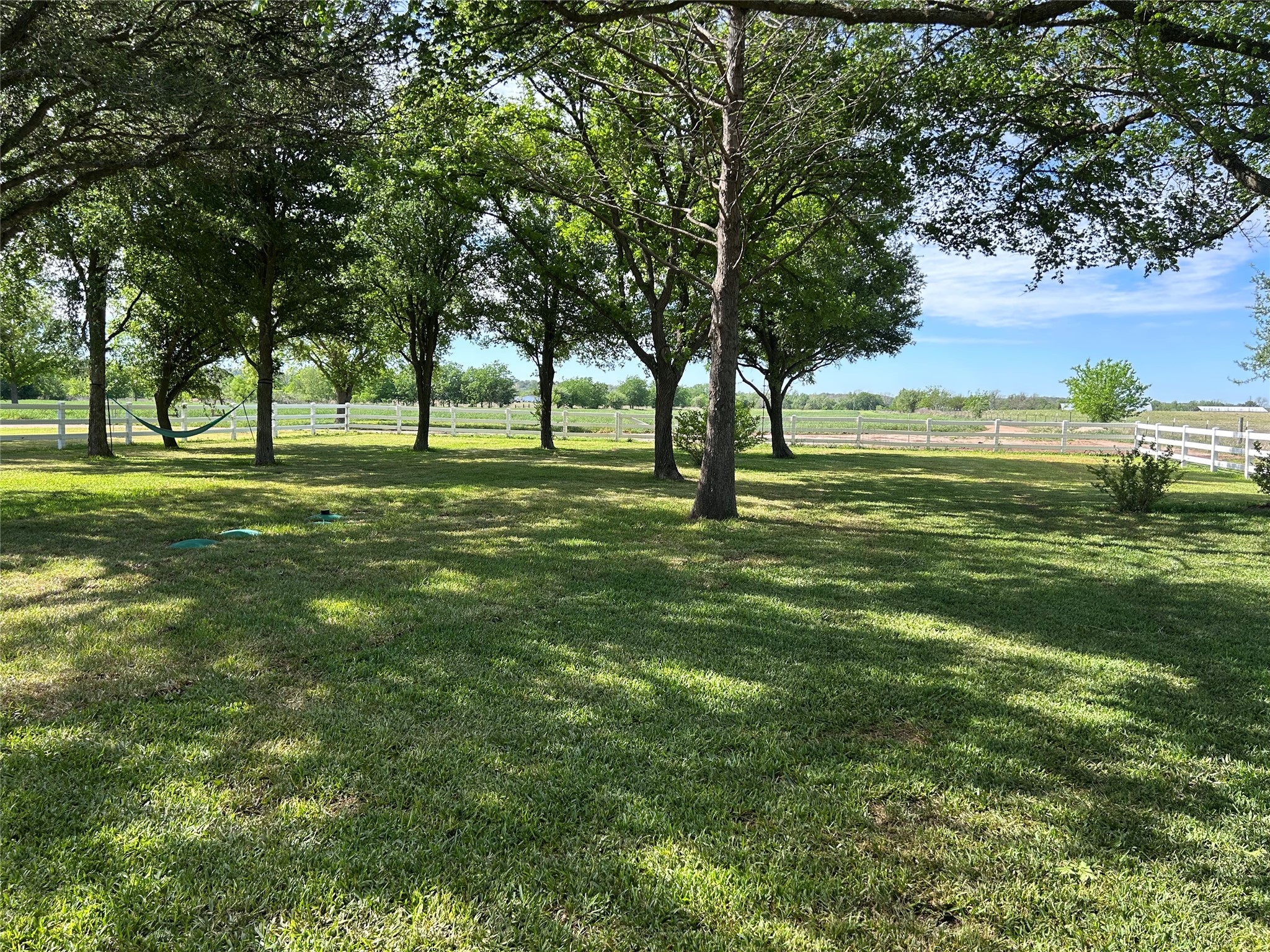 678 Ponderosa Road Bastrop, TX 78602 - Photo 37 of 40 Lush green grass in back yard