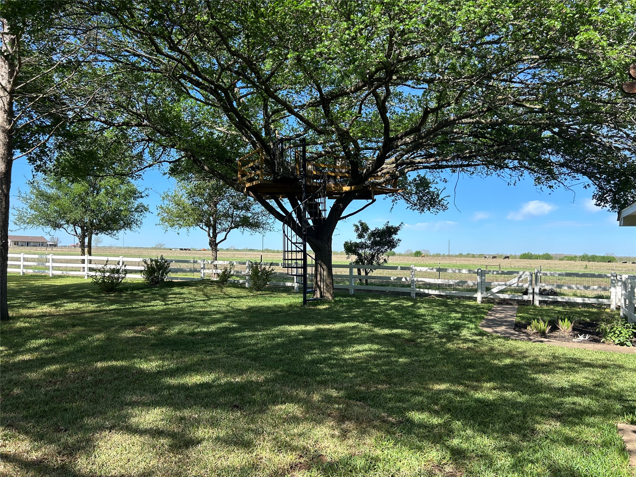 678 Ponderosa Road Bastrop, TX 78602 - Photo 38 of 40 Great tree covered back yard