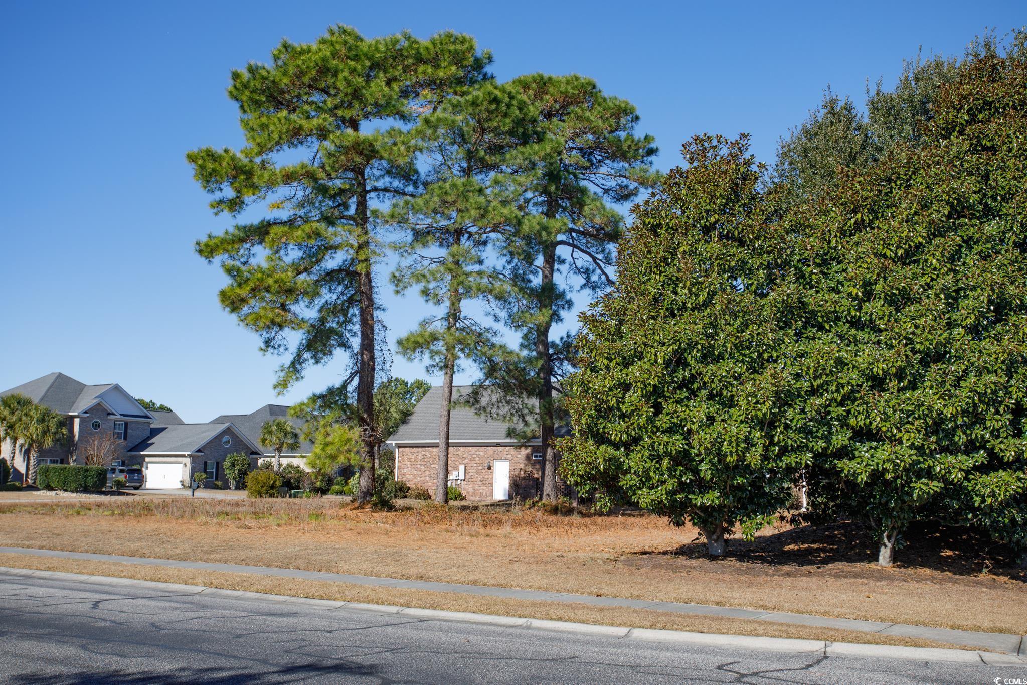 100 Ocean Sands Court Myrtle Beach, SC 29579 - Photo 10 of 20