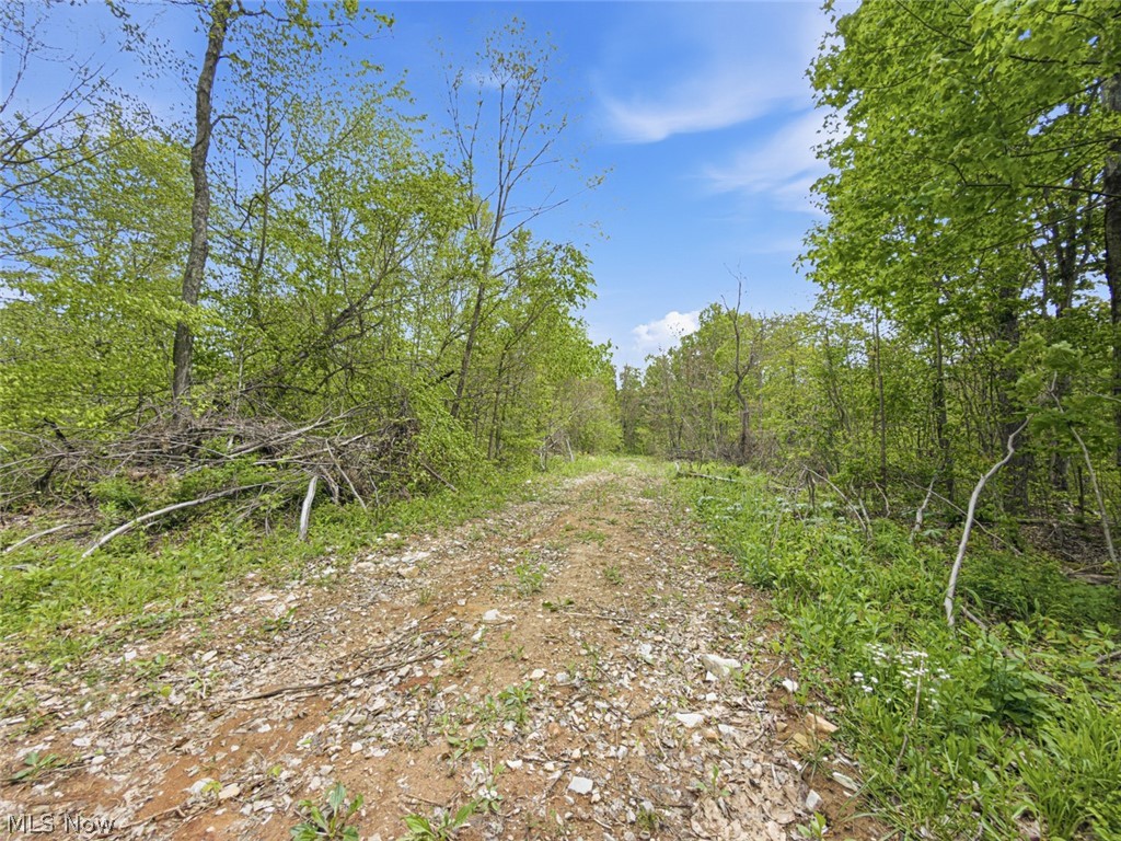 69-acres Newlon Road Malta, OH 43758 - Photo 19 of 20