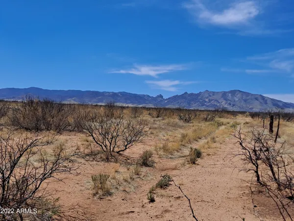 $6,000 | 1-acre Allen Street, Unit 6, Pearce, AZ 85625