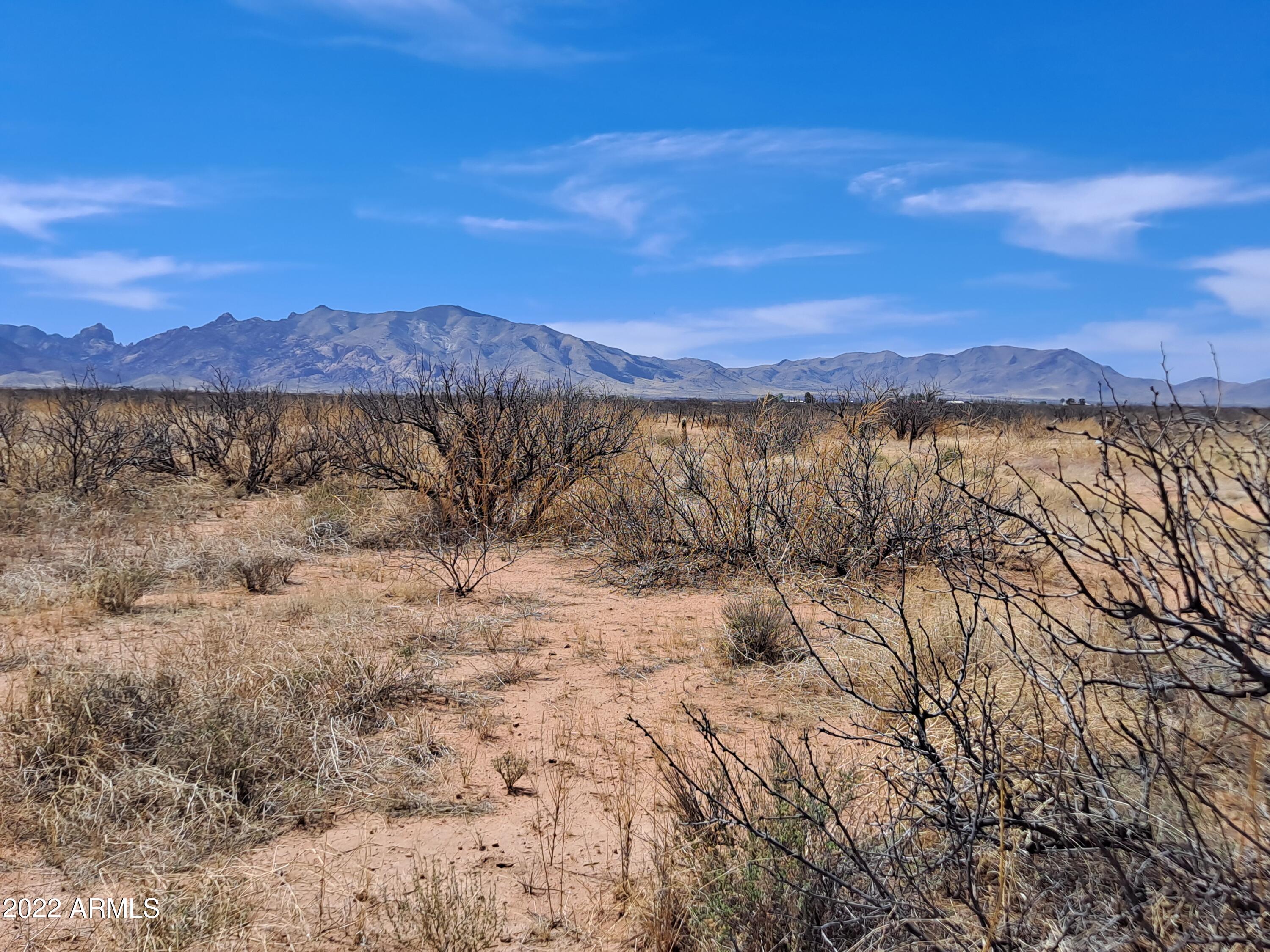 1-acre Allen Street, Unit 6 Pearce, AZ 85625 - Photo 4 of 16 20220410_133536