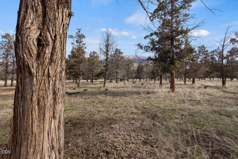 14837 Hill Road Klamath Falls, OR 97603 - Photo 13 of 41 Gallery Image 13