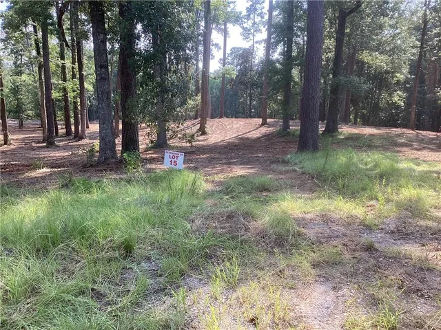 $275,000 | 0 Amelia Drive, Boyce, LA 71409
