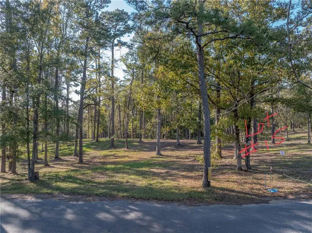 $275,000 | 0 Amelia Drive, Boyce, LA 71409