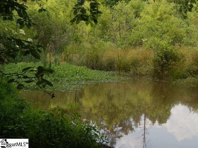 0 East Church Road Easley, SC 29642 - Photo 14 of 30