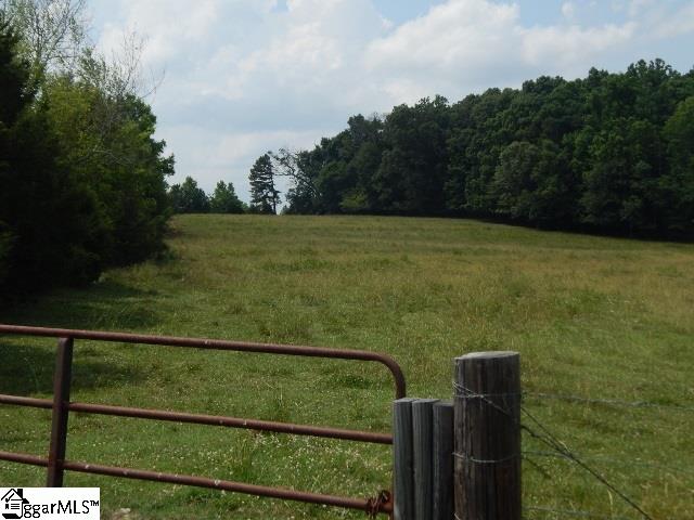 0 East Church Road Easley, SC 29642 - Photo 3 of 30