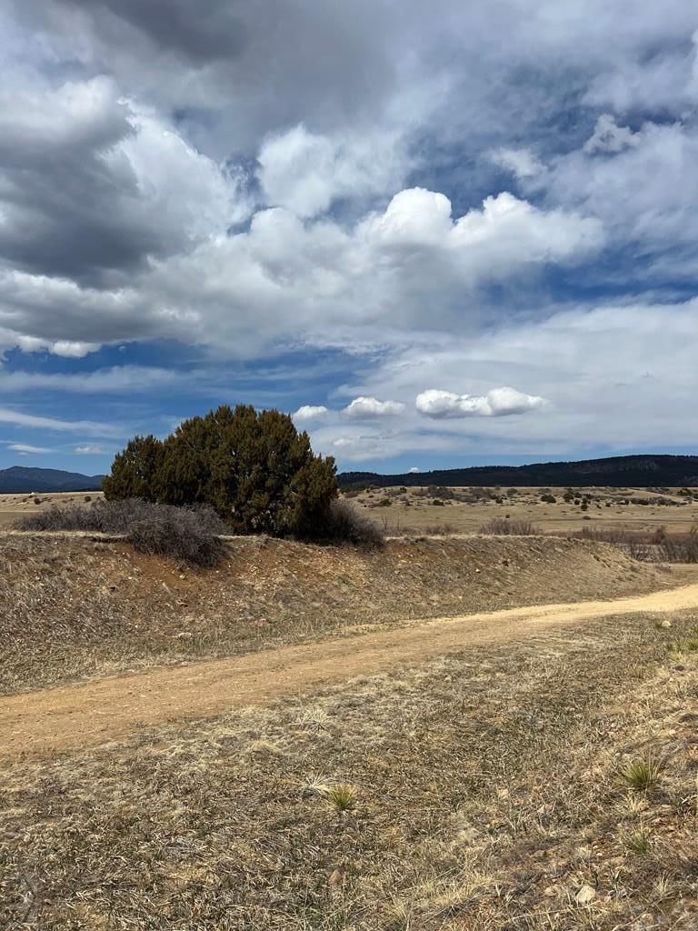 Lot 817 Ventner Rye, CO 81069 - Photo 22 of 25