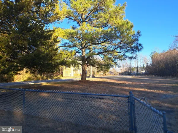 a view of yard with green space