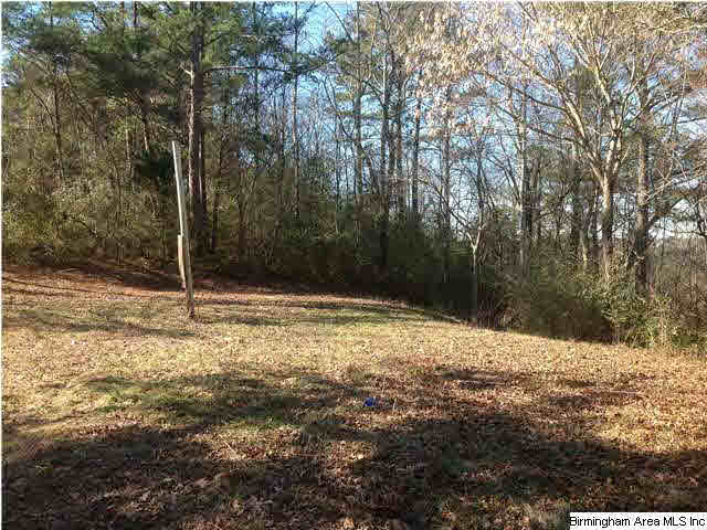1125 Levine Road, Unit 111 Odenville, AL 35120 - Photo 1 of 2