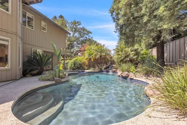 a view of a yard with plants