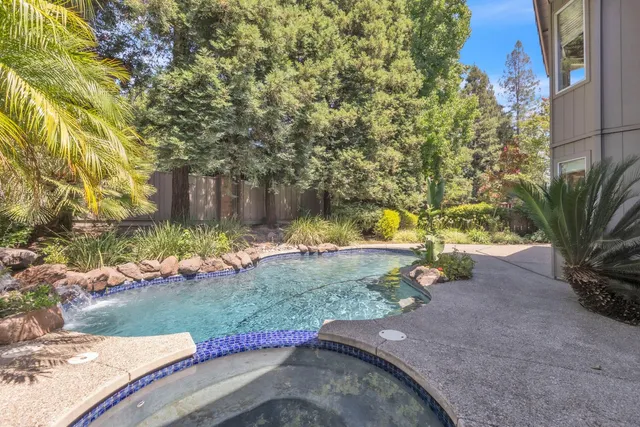 a view of a garden with plants