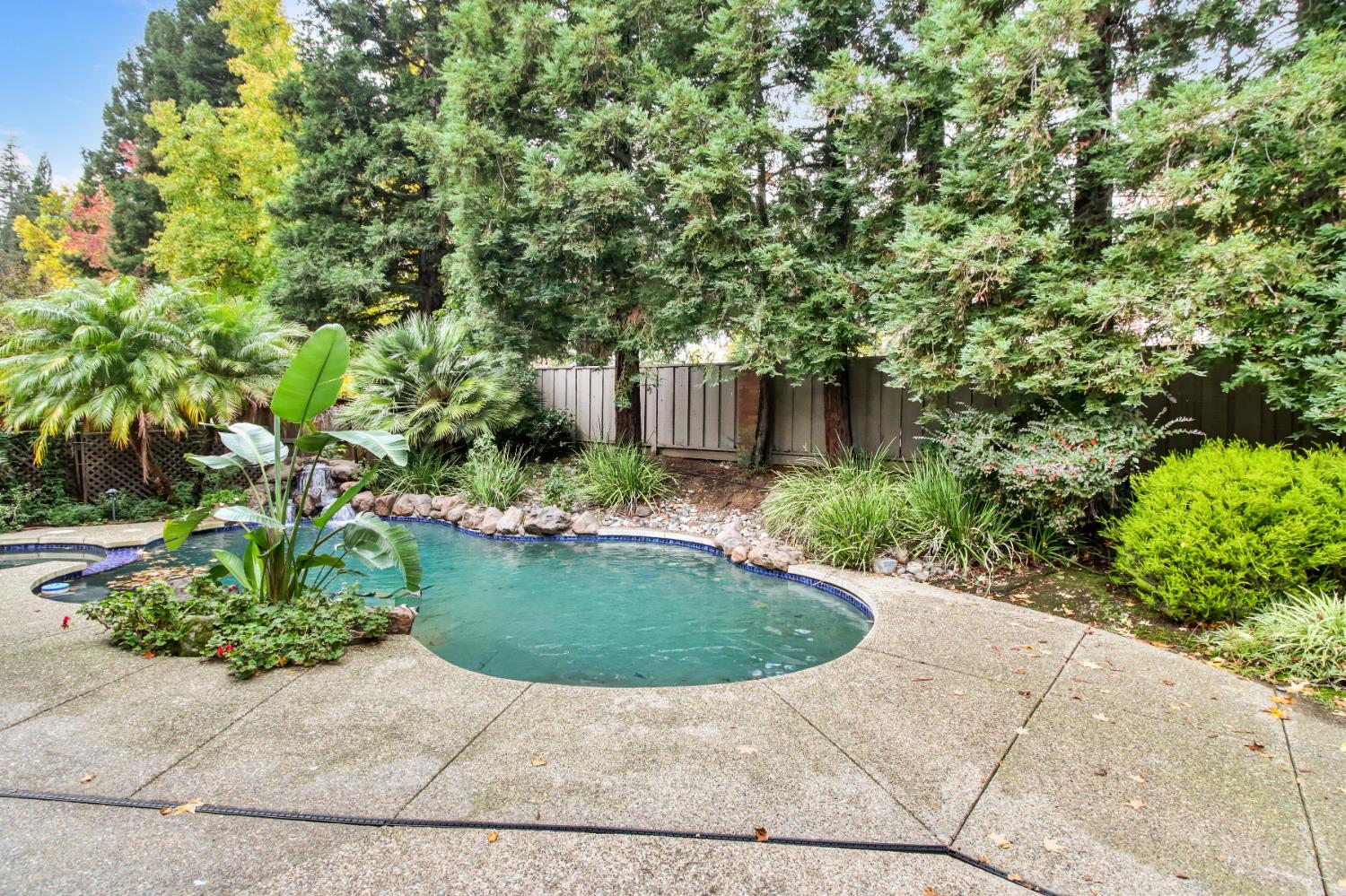 2760 Prestwick Drive Roseville, CA 95661 - Photo 39 of 45 a view of a garden with plants