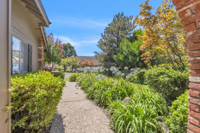 a view of a pathway with flower plants