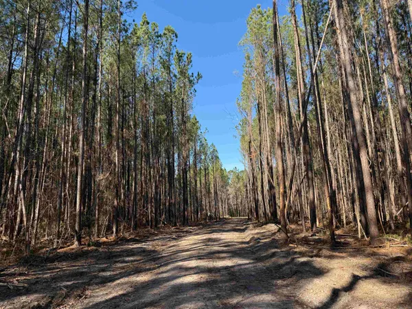 $389,000 | 31.40-acres-tbd Pennyroyal Road, Georgetown, SC 29440